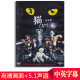 正版 猫 音乐剧dvd高清车载儿童电影光盘碟片视频英语配音5.1声道