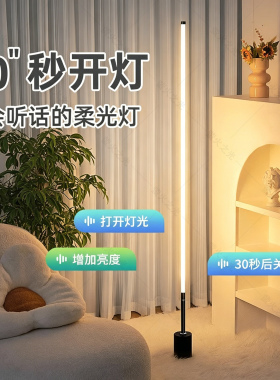 LED落地灯ins卧室简约立式台灯语音控制光床头墙角网红护眼氛围灯