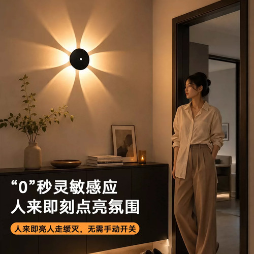 网红花朵感应灯免接线磁吸充电入户客厅电视背景氛围装饰卧室壁灯