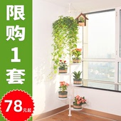 顶天立地花架置物架室内窗台飘窗多肉收纳架阳台悬挂绿萝吊兰架子