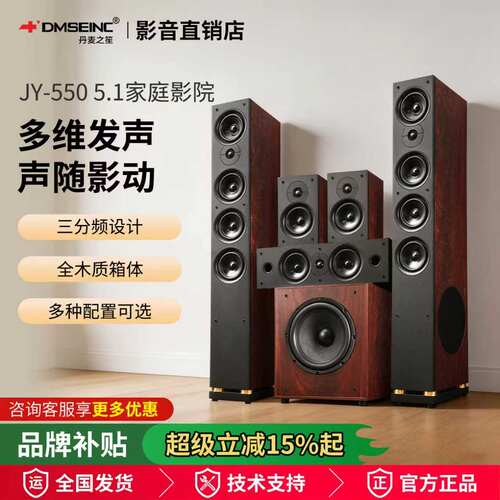 丹麦之笙JY550客厅影音音箱