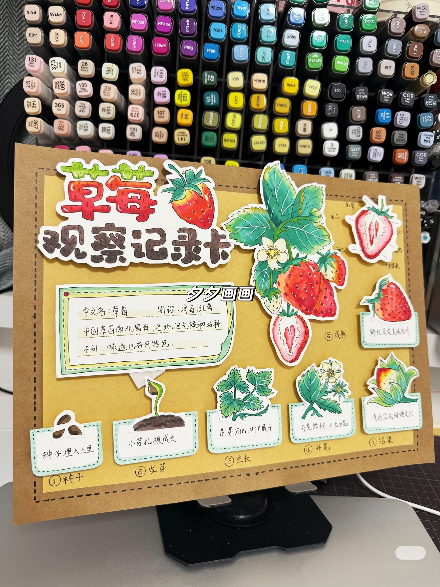 2025手抄报小报中小学生电子模板彩色线稿456