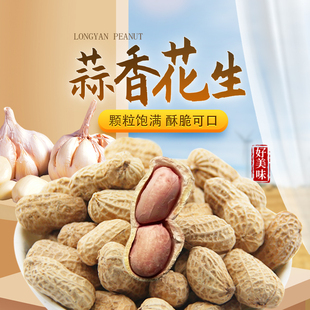 爱尝蒜香紫衣福建龙岩花生米新带壳蒜味解馋咸干年货零食礼盒