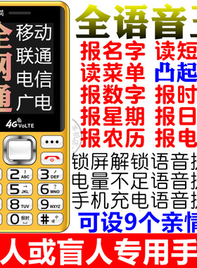 报日期报电量报名字盲人手机