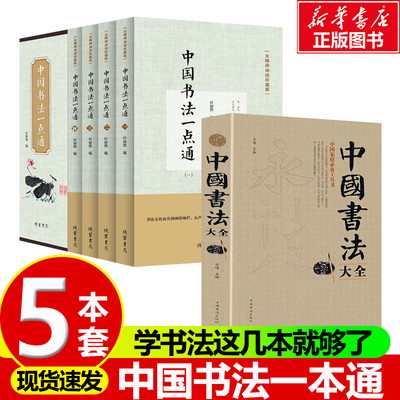 盒装4册 中国书法一点通 中国书法大全 书法大字典 中国书法简史 颜真卿欧阳询楷书行书草书篆书隶书毛笔字帖楷体大全集 书法入门