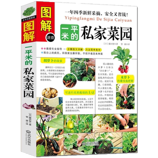 正版包邮 图解一平米的私家菜园 蔬菜种植技术室内室外西红柿黄瓜茄子青菜辣椒草莓阳台露台阳台庭院顶楼 种菜栽培实用手册书籍