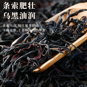 古树正山小种红茶晒红兰香蜜韵花果香蜜甜细腻回甘可冷泡热泡