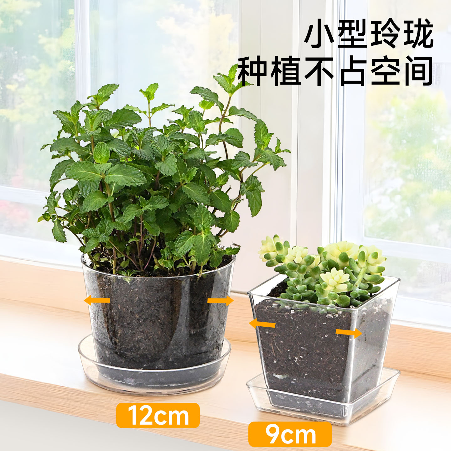 透明花盆学生儿童观察盒种植盆控根盆阳台土培种花种菜透气花卉盆