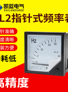 6L2频率表0-50HZ赫兹表直流DC10V型4-20MA电流电压表45-55HZ