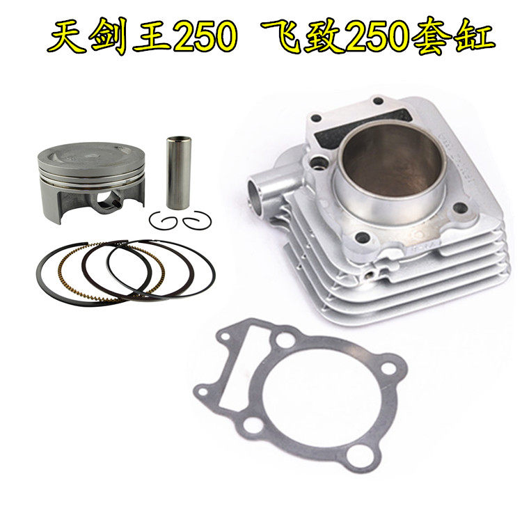 适用摩托车雅马哈YS飞致250 天剑王YBR250套缸气缸体缸筒活塞配件