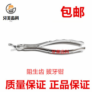 上海伟荣牙科专用拔牙钳子 微创拔牙钳子48X69X 阻生齿牙钳智齿钳
