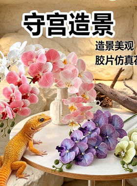 守宫造景躲避屋攀爬蝴蝶兰仿真花