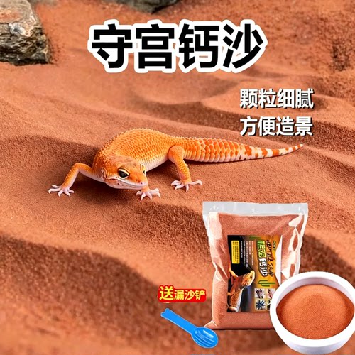 爬宠蜥蜴沙漠饲养守宫钙沙底砂