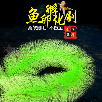 孵化草孵化毛刷锦鲤产卵草水产繁殖鱼卵孵化刷金鱼鱼巢孵化刷