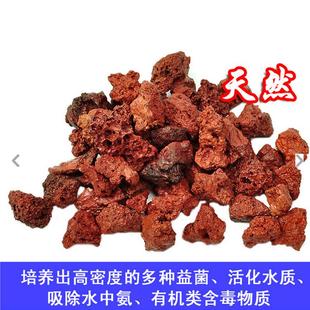 鱼缸龟缸水族箱滤材天然红火山石火山岩过滤培菌 载体温床包邮