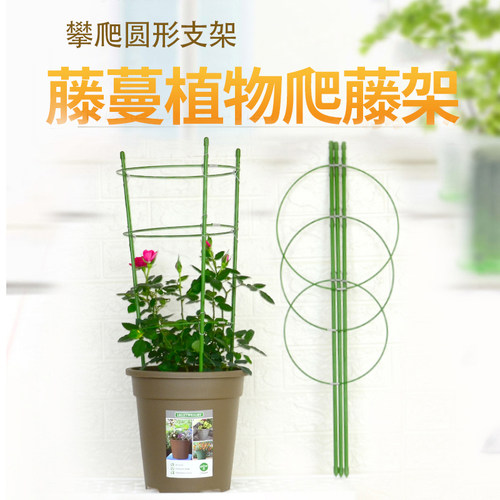 爬藤架子花支架月季户外花架植物盆室内花卉支撑杆园艺铁线莲攀爬