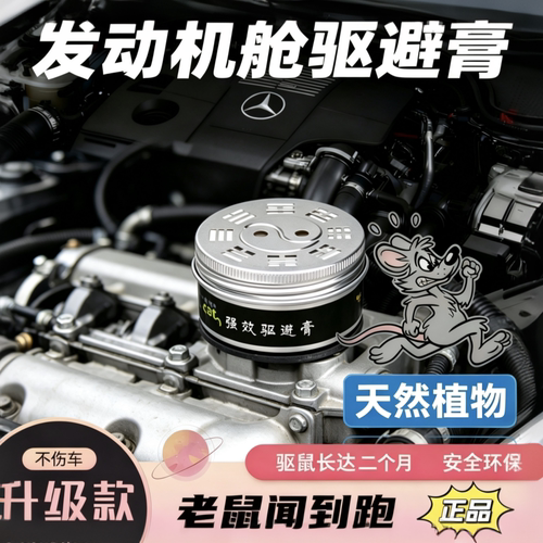 老鼠闻到跑纯植物无害