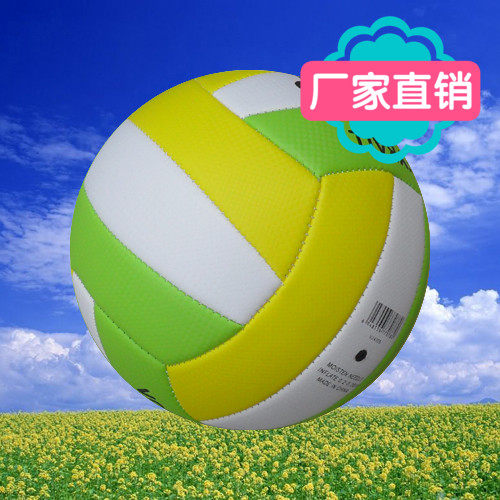 Ballon de volley - Ref 2011921 Image 1