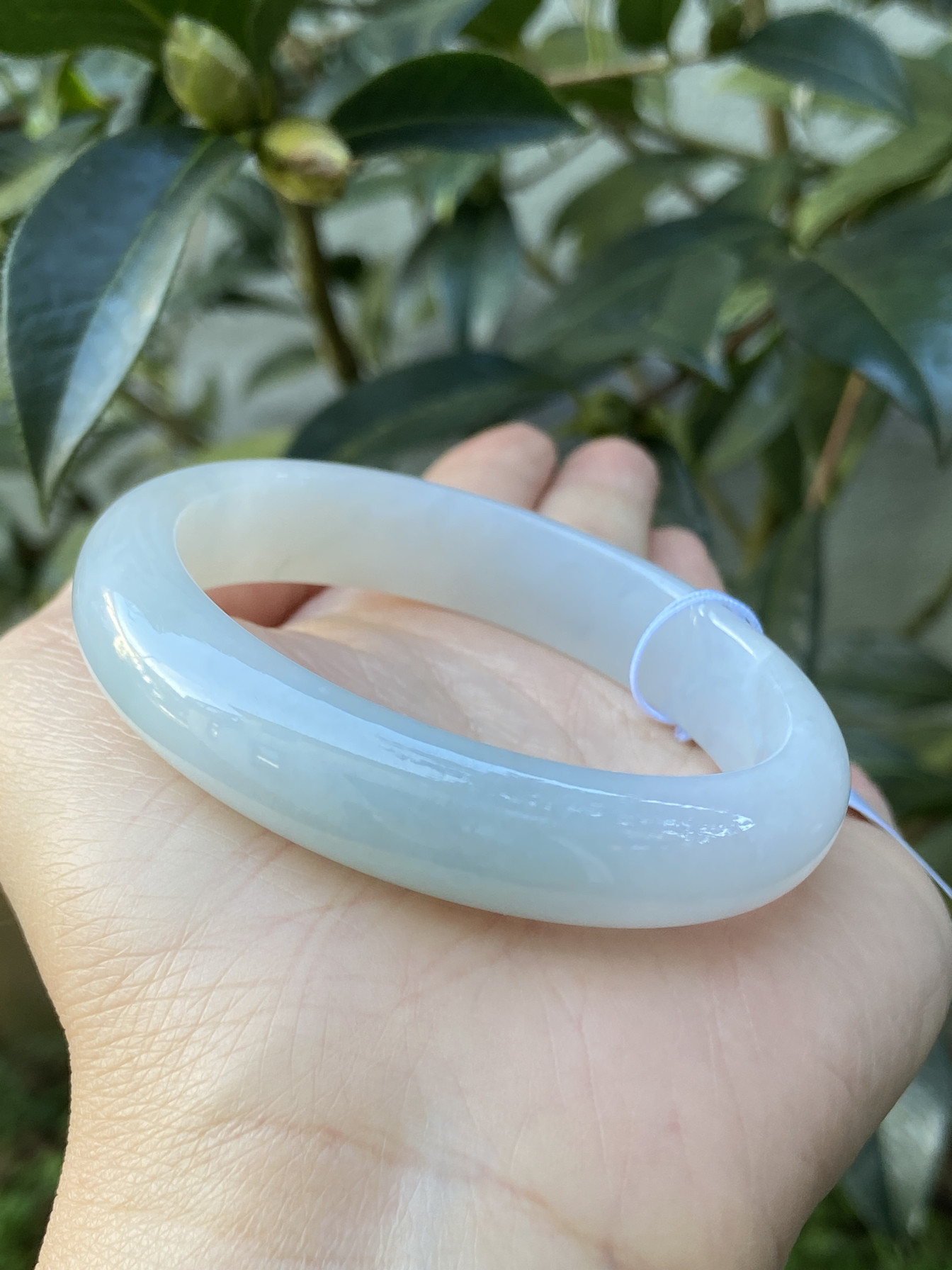 【云南小月城】（已售）缅甸天然正品A货翡翠糯冰种晴水正品手镯