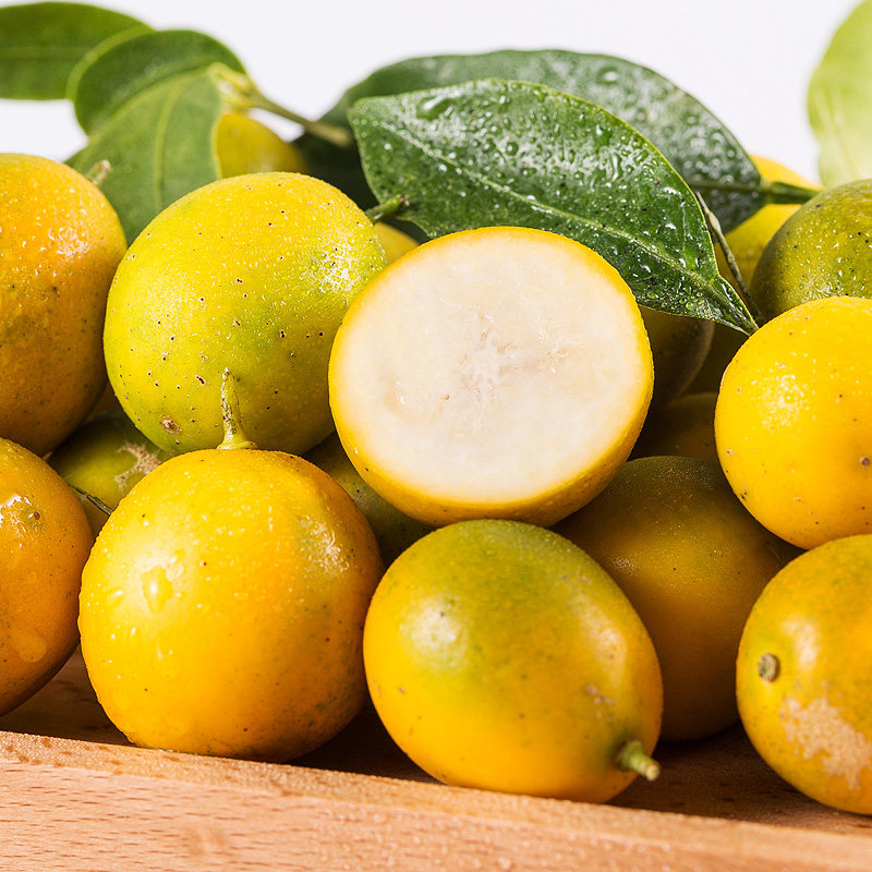 广西桂林脆皮金桔新鲜现摘现发