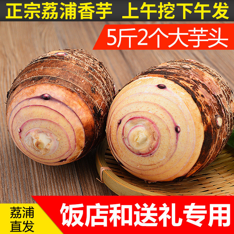 大芋头荔浦5斤农家芋头广西桂林特产新鲜蔬菜槟榔芋头香芋