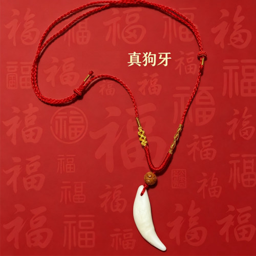 真狗牙吊坠黑狗狗牙挂件婴幼儿童出门成人项链手工挂绳可调节大小