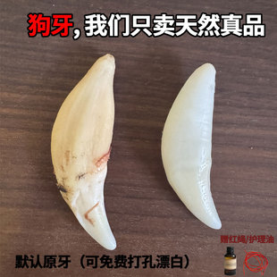 黑狗牙真品真狗牙齿狗牙齿吊坠红绳婴儿挂件护身符成人手绳脚绳