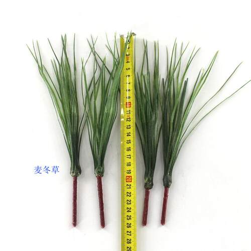草真麦冬植水001草仿小草塑胶草水草叶地被装饰麦冬草绿博物馆