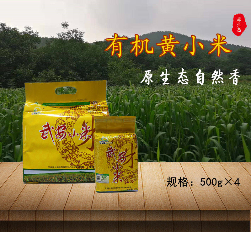 太行山特产 洺水源有机黄小米 小米