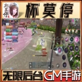 杯莫停武侠手游无限GM后台道具内部号折扣礼包免费版 安卓苹果鸿蒙