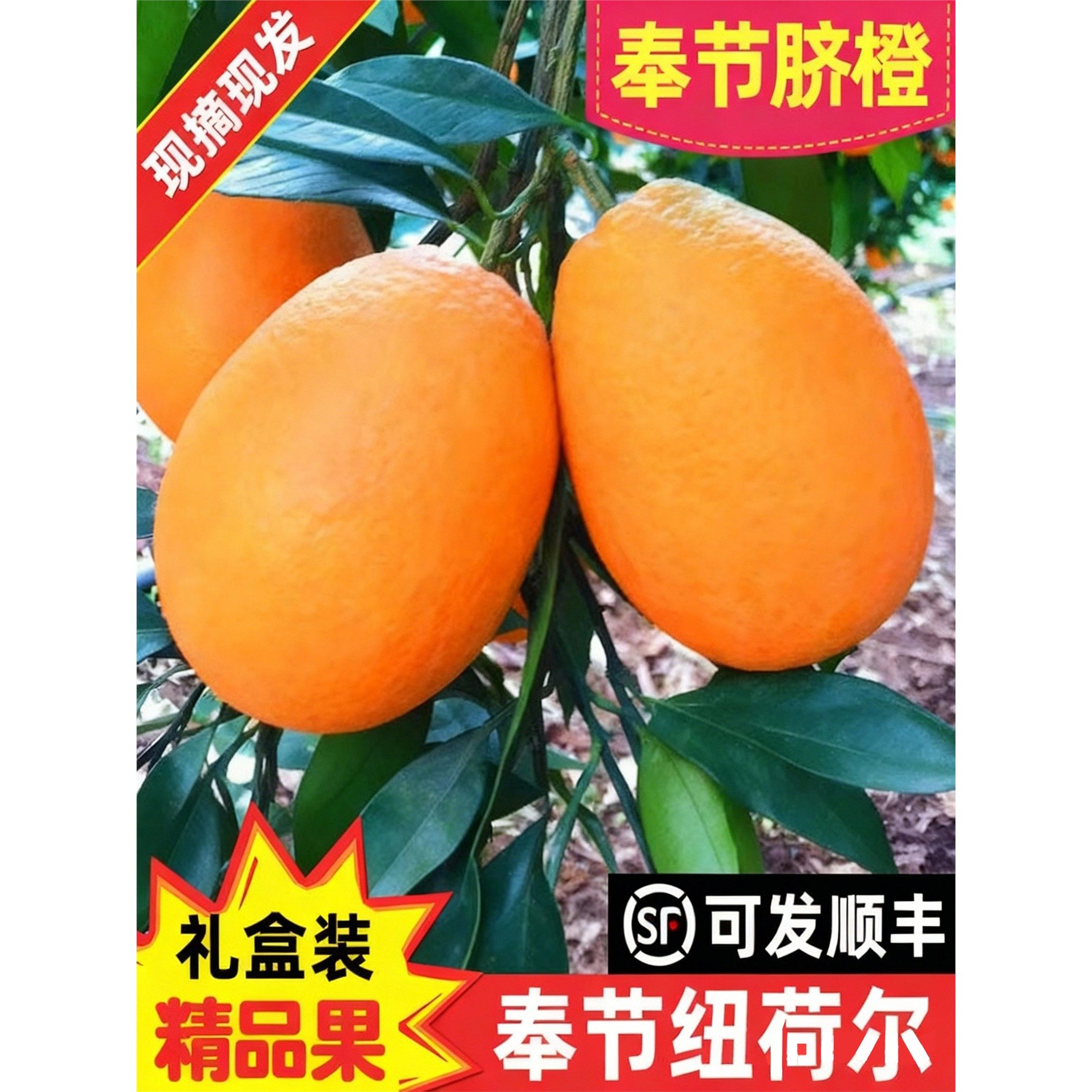 重庆奉节脐橙纽荷尔橙子新鲜正宗现摘水果10斤巫山长虹甜当季礼盒,水产肉类/新鲜蔬果/熟食,橙,淘宝优惠券,粉丝福利购,淘宝优惠卷