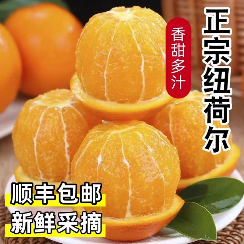 三峡柑橘巫山恋橙纽荷尔脐橙无籽柑橘产地现摘当季一整箱10斤大果,水产肉类/新鲜蔬果/熟食,橙,淘宝优惠券,粉丝福利购,淘宝优惠卷
