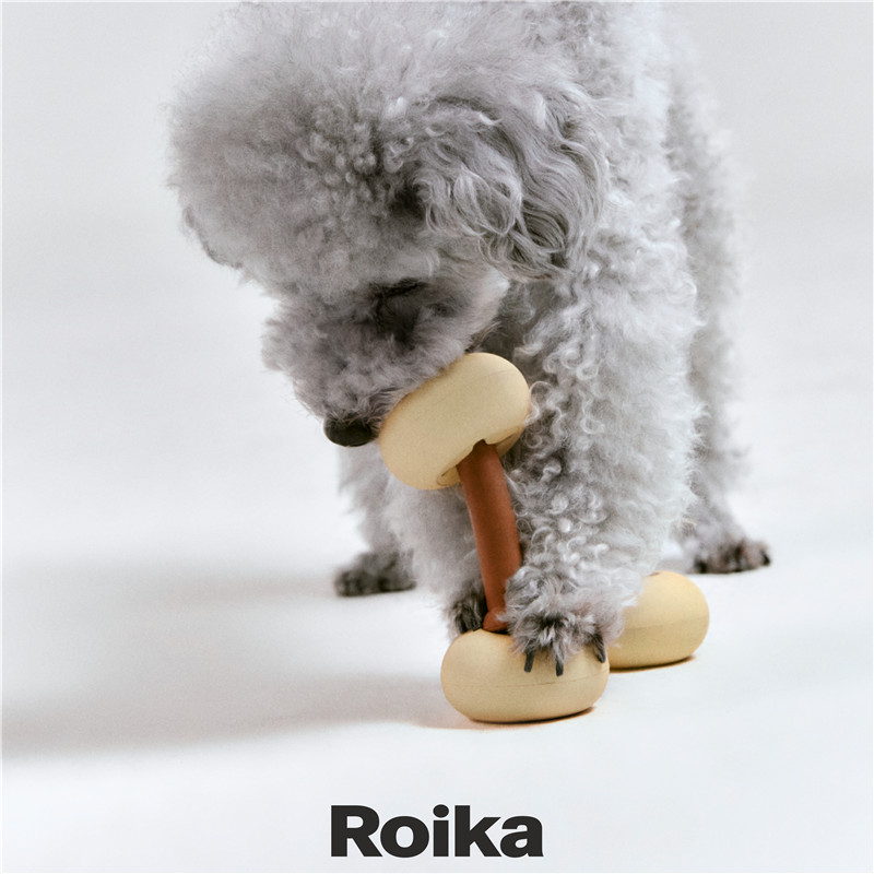Roika宠物玩具漏食球丰容益智