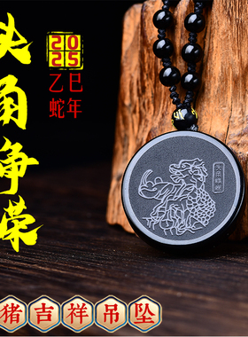 集雅轩宋韶光大师2025蛇年吉祥物生肖属猪头角峥嵘情侣吊坠项链