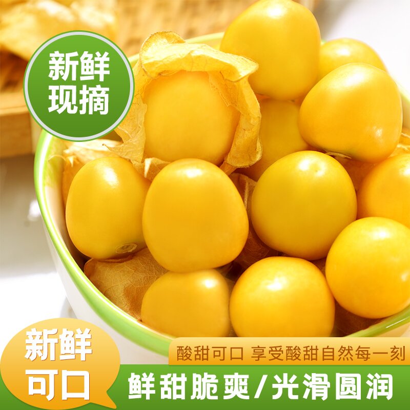 菇娘果自然成熟颗颗脆甜新鲜直达