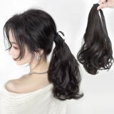 Парик, кудрявый хвостик, ремень на завязках изготовленный из настоящих волос, корейские пучки волос