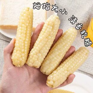 云南拇指玉米种籽白糯珍珠手指母子小玉米种子西双版纳香糯母指姆