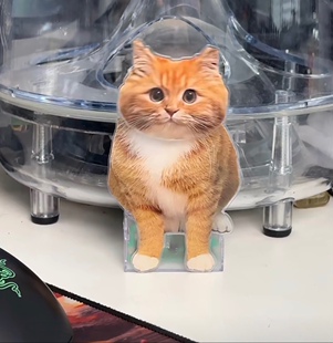 宠物照片猫咪摇摇头摆件定制猫猫摇头摆件定制亚克力桌面车载摆件