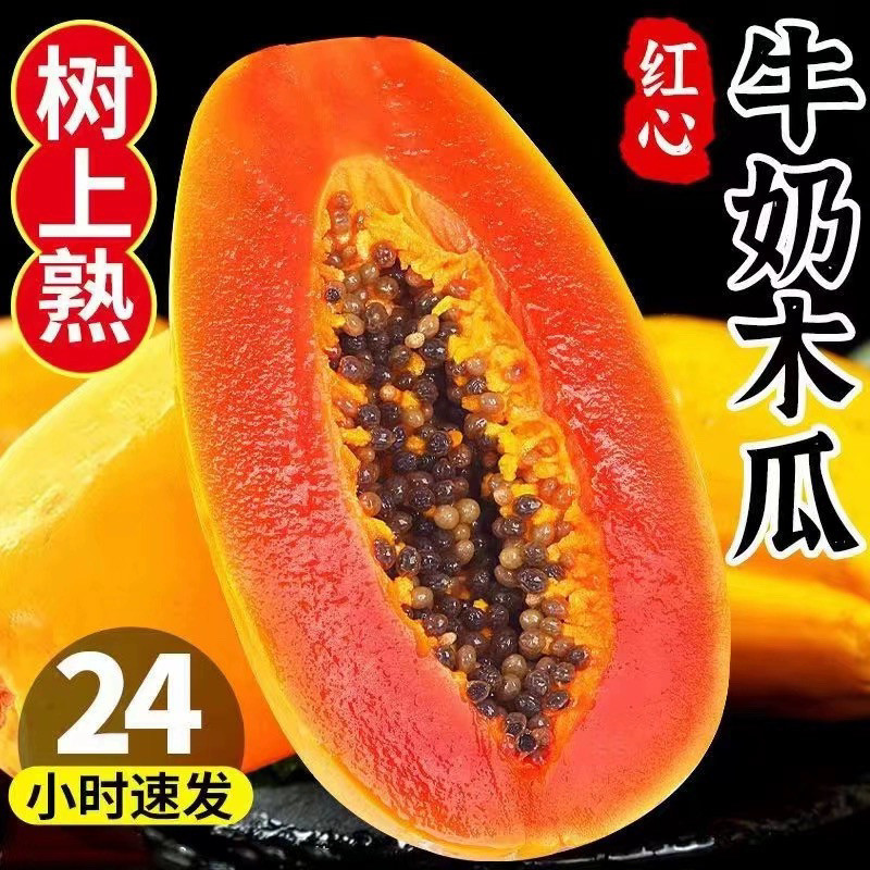 现摘树上熟红心木瓜牛奶木瓜5斤木瓜