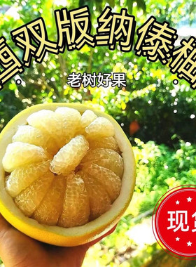 孕妇水果青柚东试早傣柚香甜