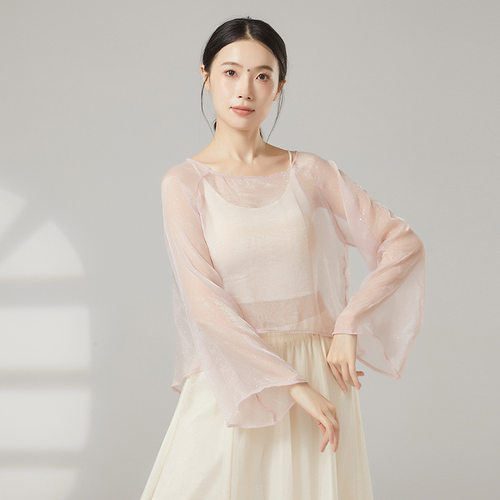 共妍古典舞纱衣演出服仙气飘逸