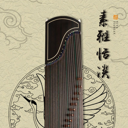 筝味道初学考级专业演奏古筝