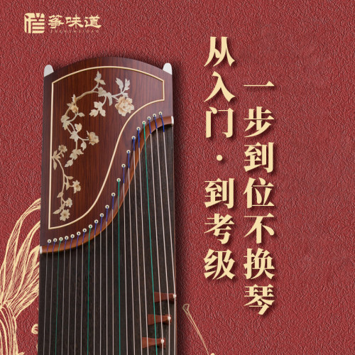 筝味道初学者入门考级古筝