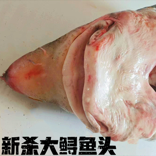 鲟鱼头黑龙江抚远特产冷水鳇鱼整条分割鲜活速冻东北鲟鳇鱼头肉段