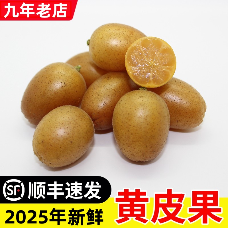 现摘水果广东郁南新鲜黄皮果无核鸡心冰糖黄弹子当季酸甜顺丰包邮