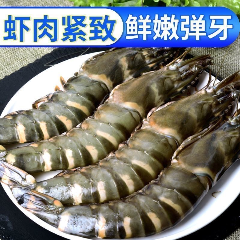 黑虎虾大虾规格新鲜超大鲜活速冻一斤8-10只/3斤