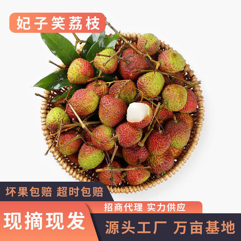 新鲜现货妃子笑荔枝鲜甜多汁热带水果核小肉厚非乌叶荔枝一件