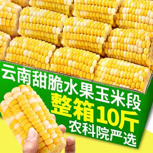 即食水果玉米开袋即食甜脆玉米段真空包装免煮零食减脂期早餐速食