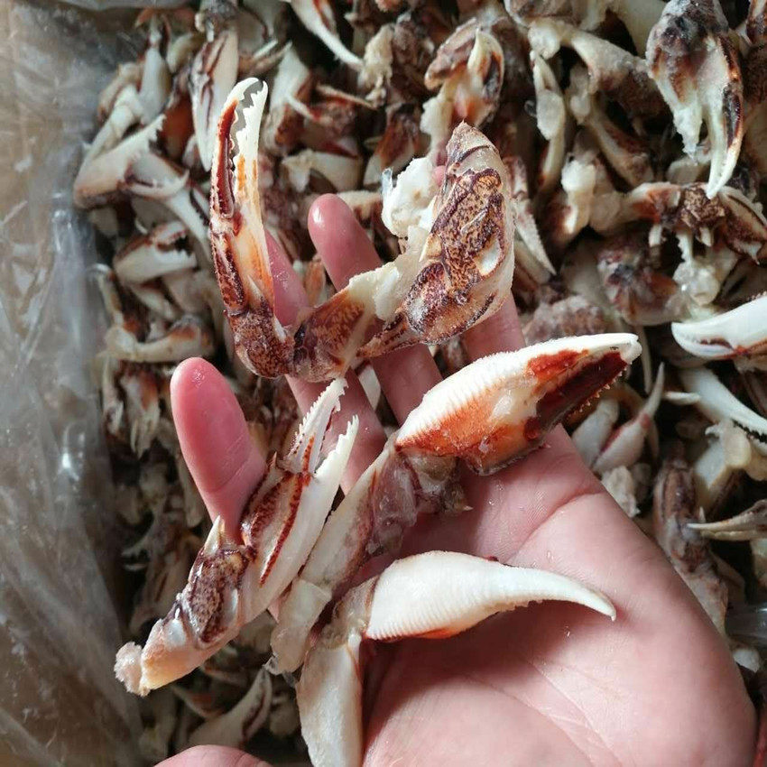 冷冻花蟹钳整箱商用生腌沙蟹脚捞汁小海鲜成品原料蟹黄野生