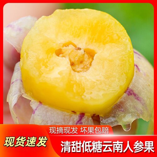 云南石林人参果新鲜人参果七彩黄肉圆果人生果娃娃果包邮生鲜